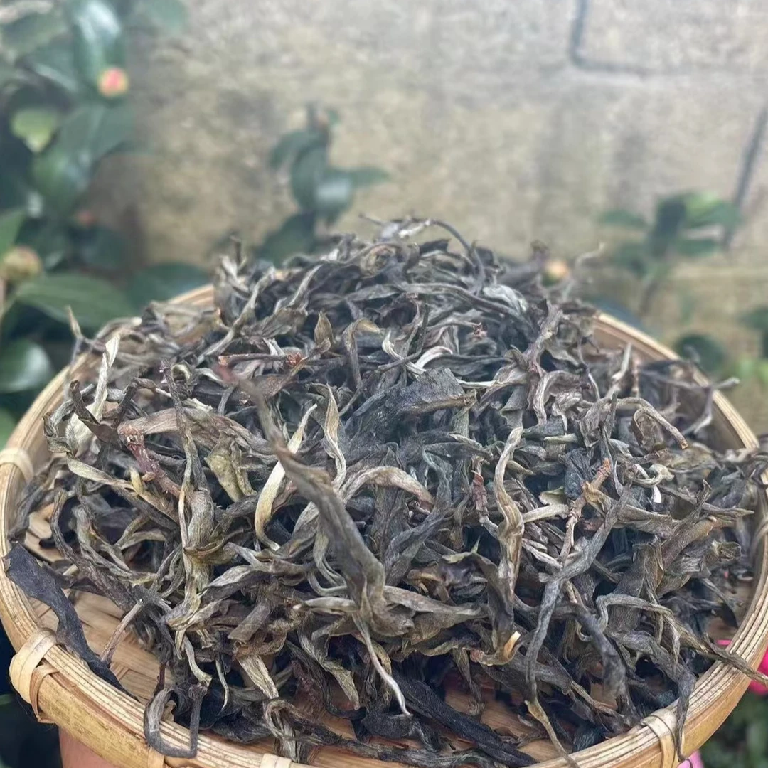 2023年邦木大树（头春）【老六云南普洱甄选】