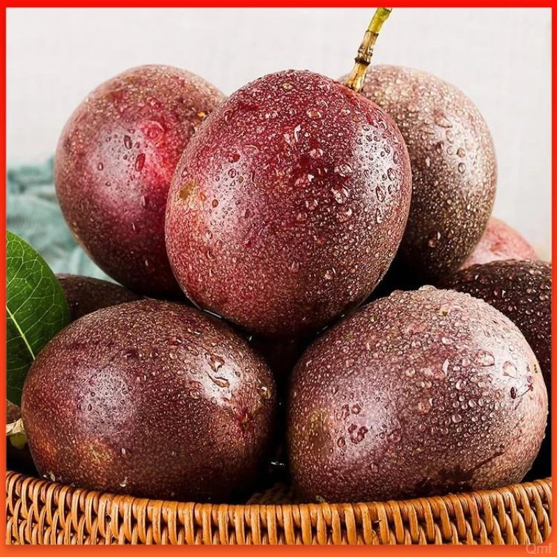 广西紫皮百香果新鲜特大果应季孕妇水果整箱包邮坏包赔酸爽多汁
