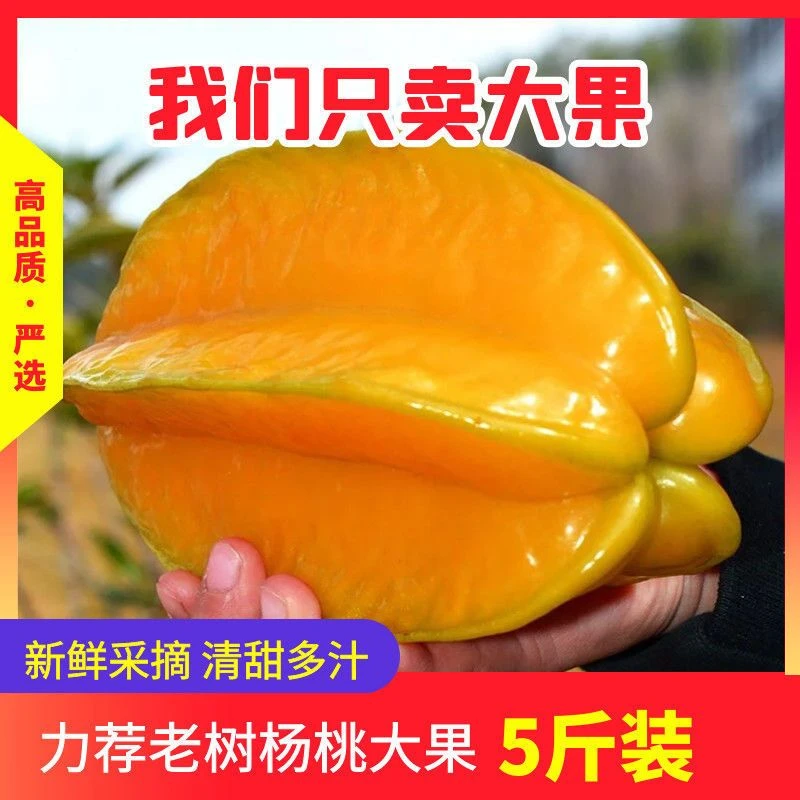 【现摘现发】杨桃新鲜水果当季现摘福建甜洋桃清甜多汁果园发货应