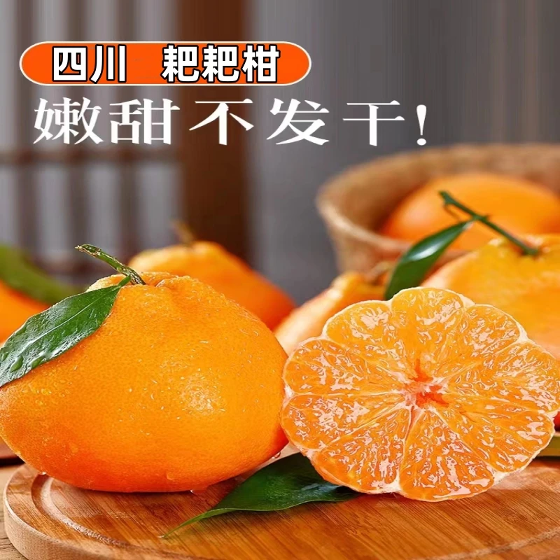 【耙耙柑】四川春见耙耙柑特级新鲜杷杷柑应季现摘现采桔子