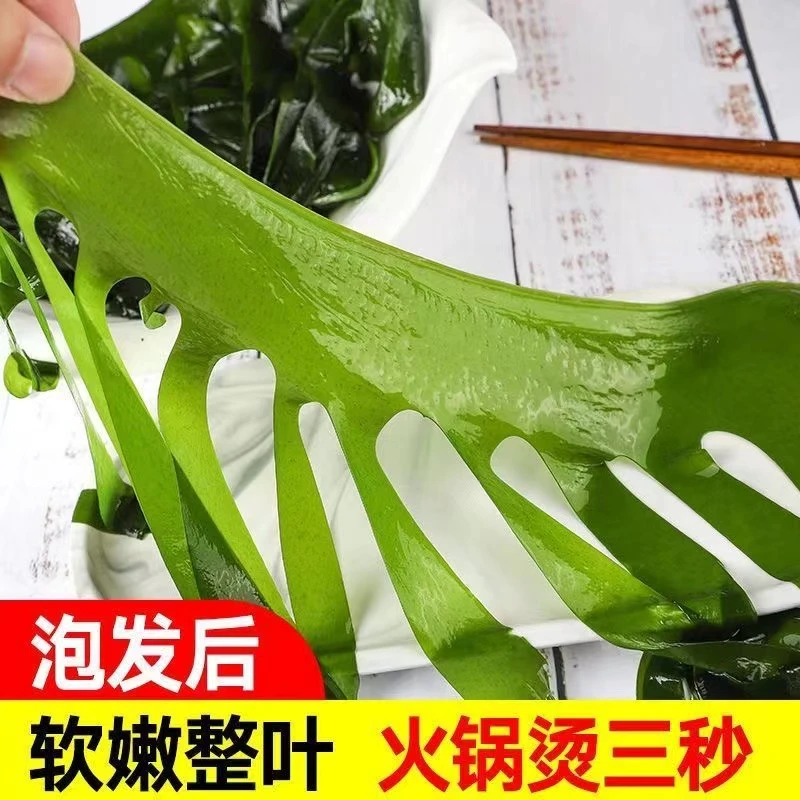 抢！【5斤】整箱鲜嫩裙带菜 凉拌煲汤火锅