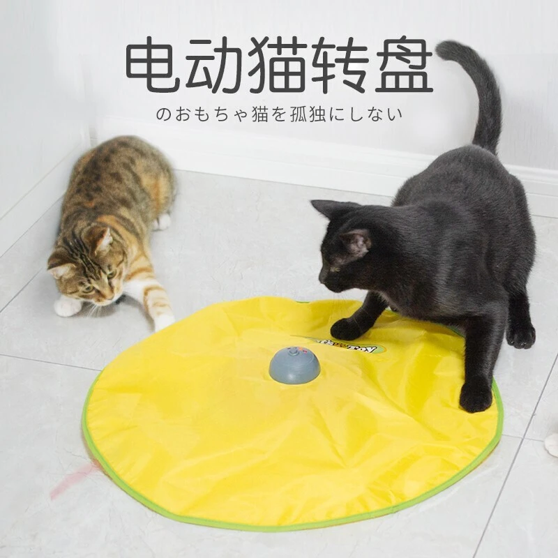 电动逗猫玩具转盘多猫自动躲猫猫打地鼠猫咪自嗨神器大小成幼宠物