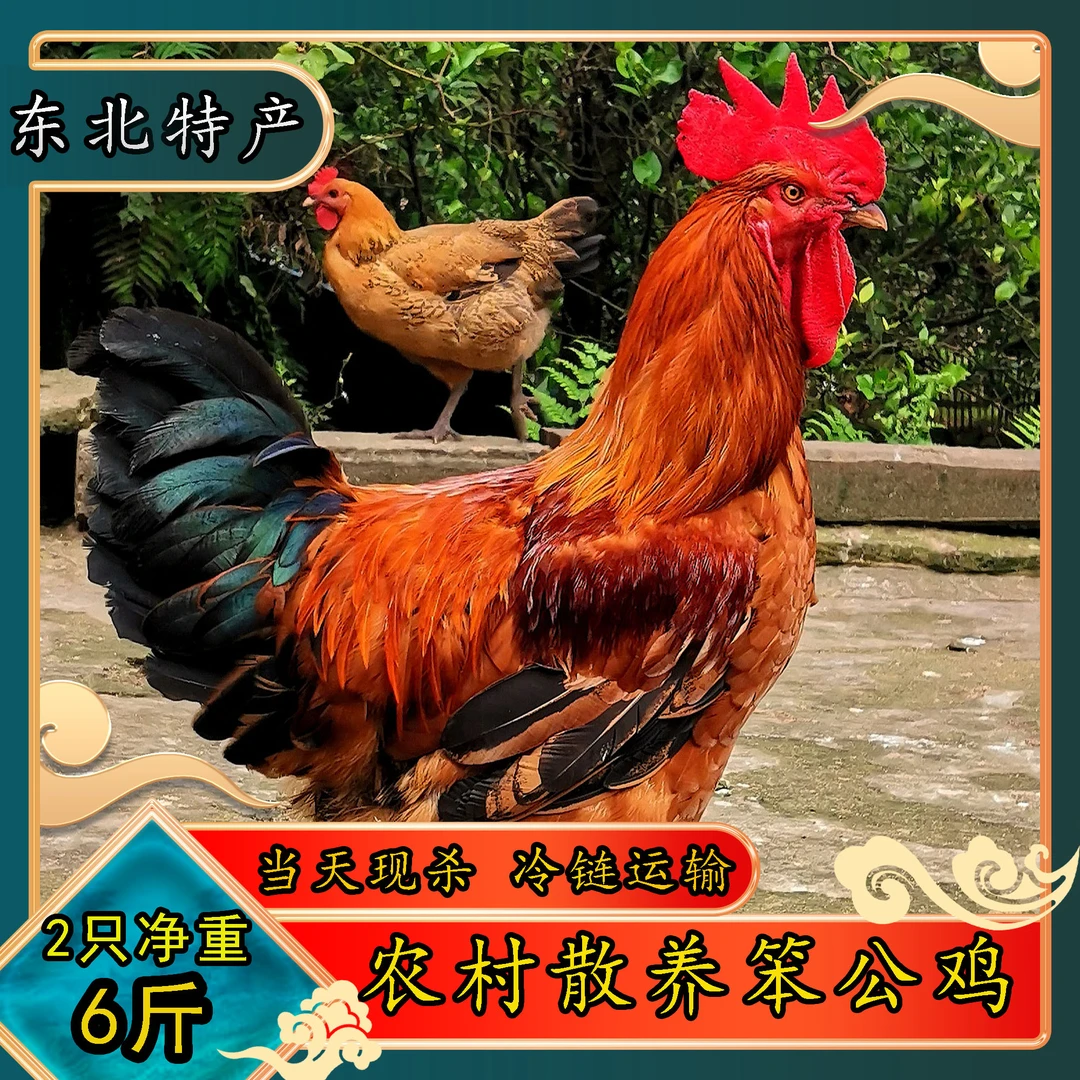 农村散养笨公鸡【2只黑爪净重6斤】优质冷冻保鲜快递山间品质