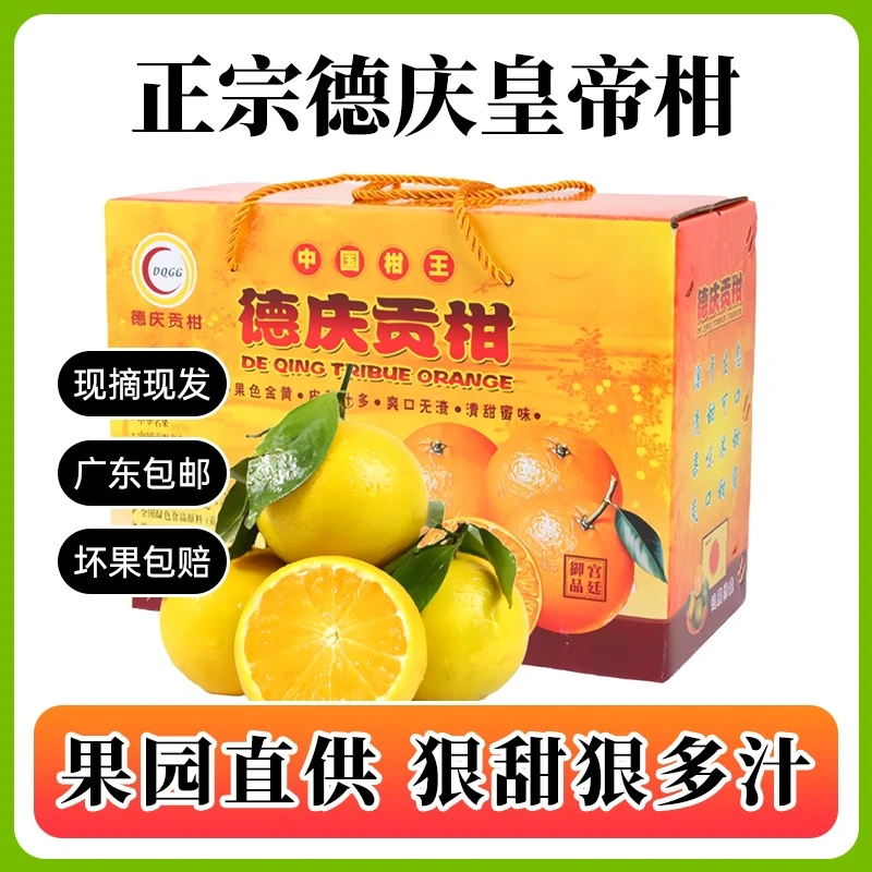 正宗广东德庆皇帝柑贡柑新鲜水果5/10斤广东省内包邮
