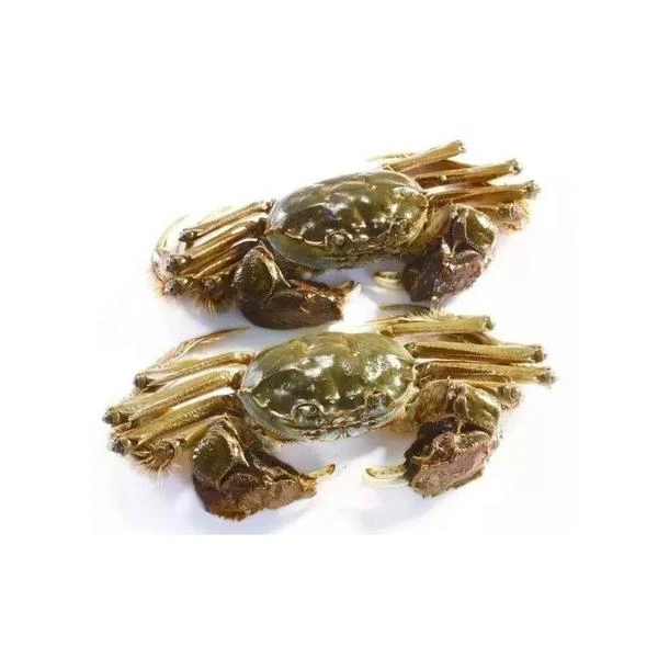 残蟹优惠定制链接