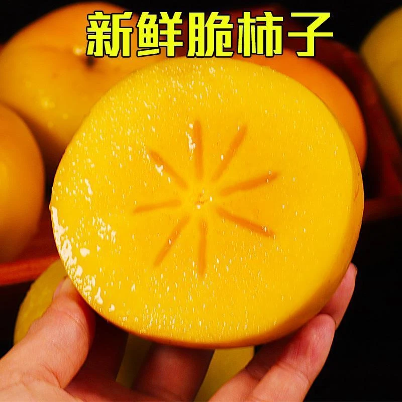 2025年山西巧克力甜脆柿子新鲜现摘脆甜多汁不涩无籽应季水果