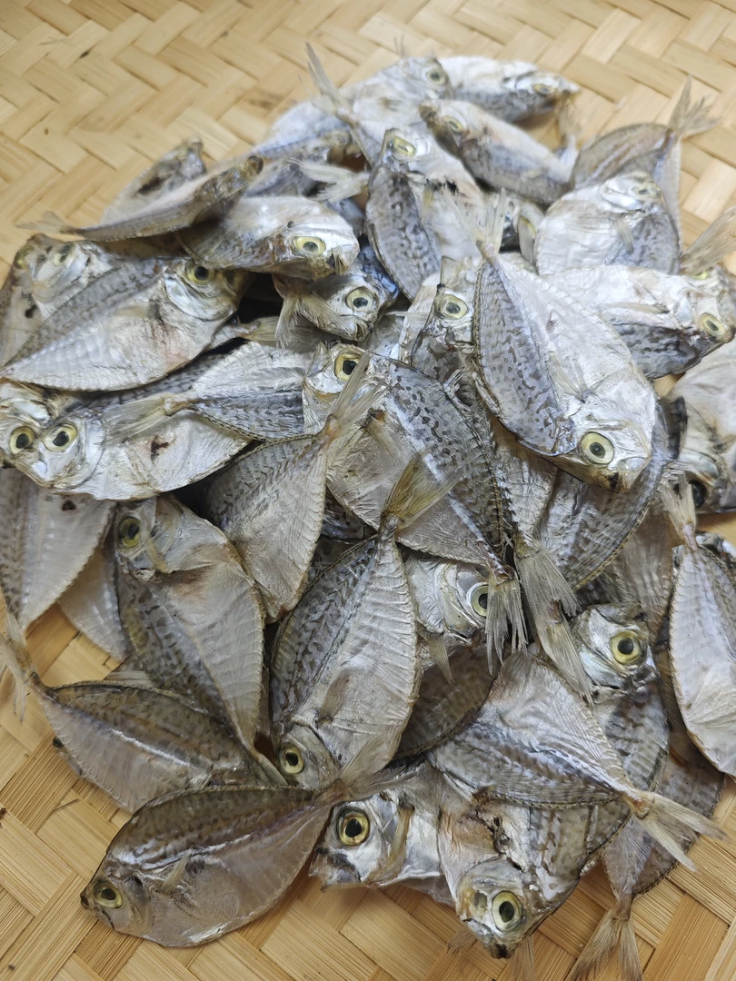 广东潮汕特产汕尾港淡晒微咸九梗脯(金钱花鱼)中大号