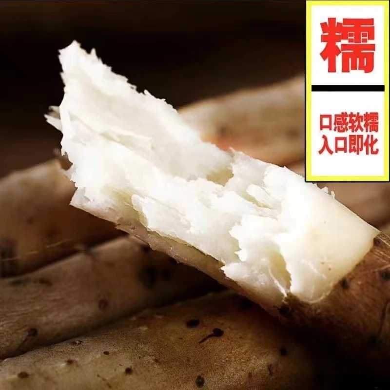 温县正宗垆土地铁棍山药怀山药现挖现发新鲜