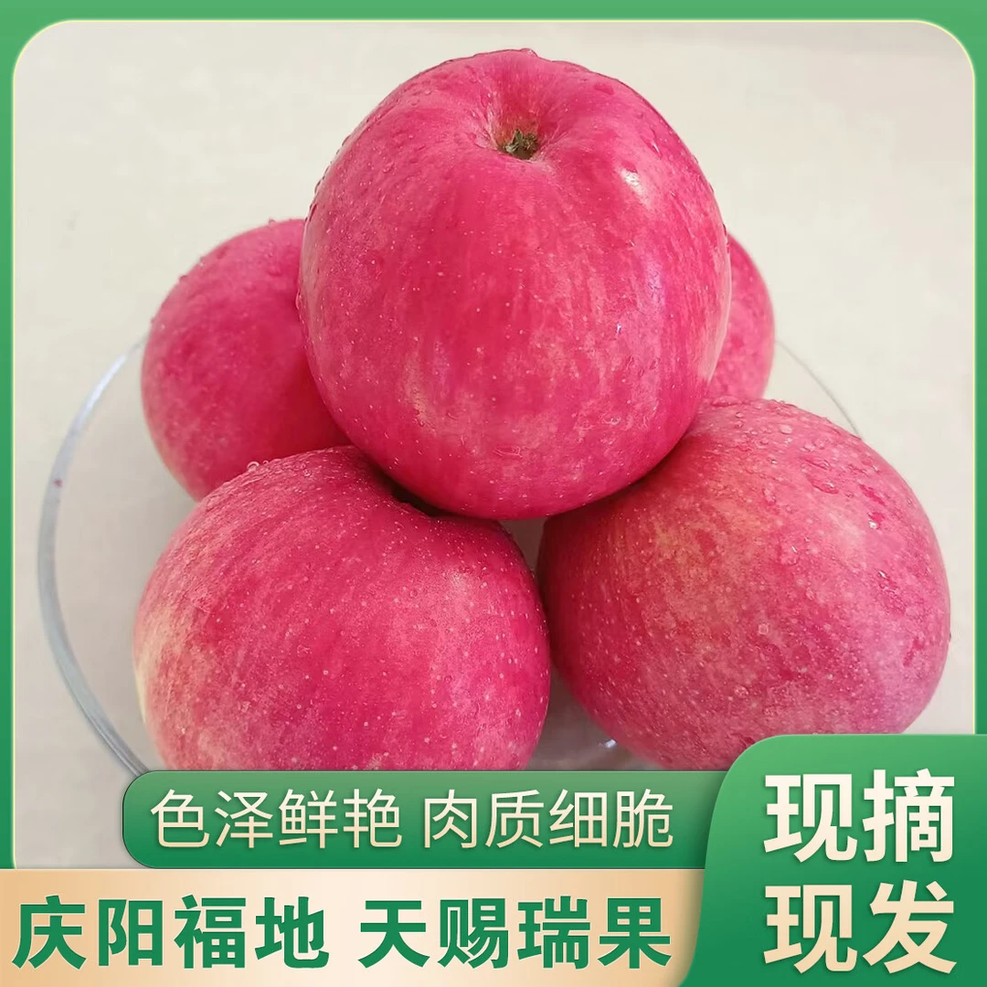 【尝鲜福利】岐黄瑞雪甘肃庆阳苹果新品瑞阳精品礼盒装现摘产地直发