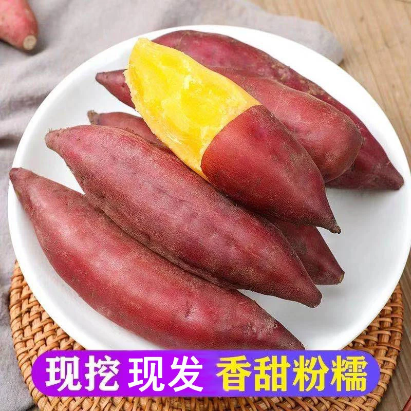 天目山小香薯金手指红薯黄心粉甜沙地板栗地瓜番薯老少皆宜5/9斤