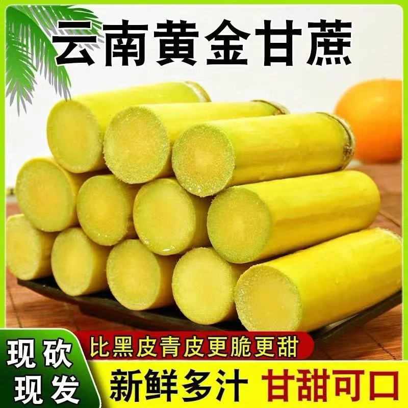 云南黄金甘蔗现砍新鲜应季农家薄皮清甜多汁黄皮甘蔗