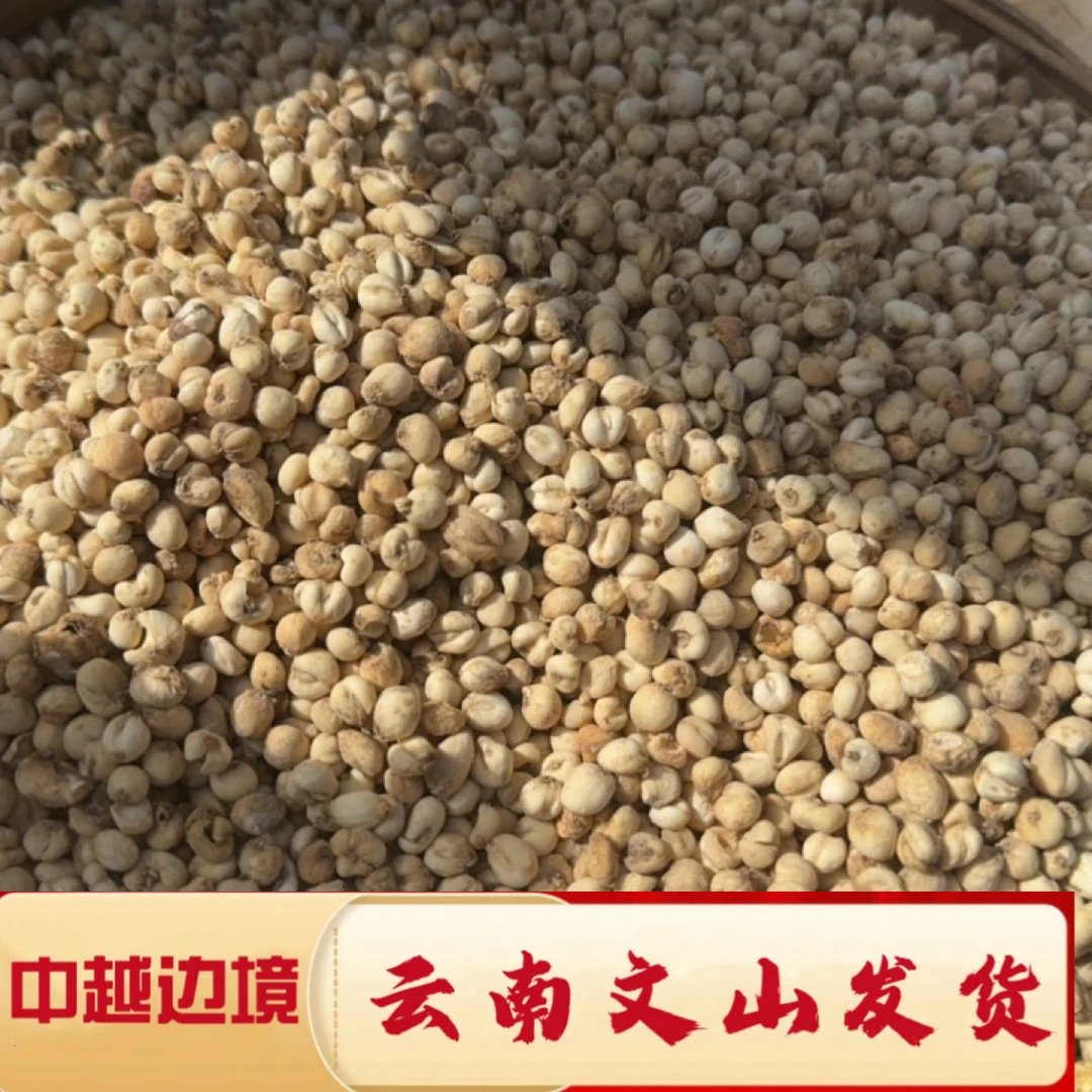 一村一品1山野好货精选-川贝母