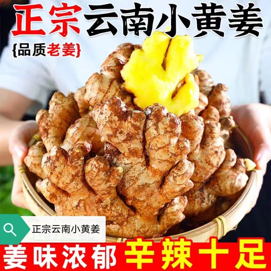 云南高山小黄姜老姜新鲜现挖0.5斤/9斤辛辣十足去腥产地直发现挖