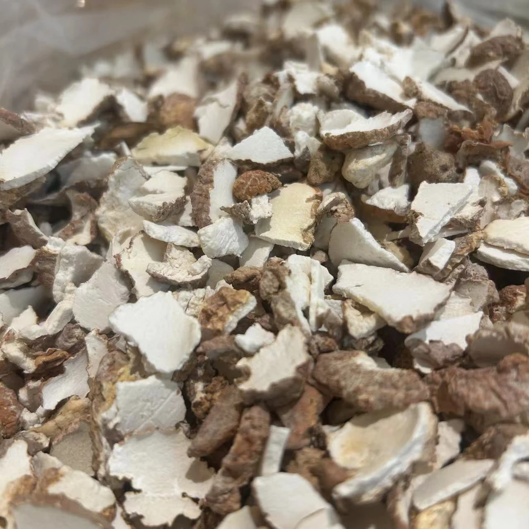 【飞飞专属】-虎奶菌碎片（介意勿拍）性价比高-山药