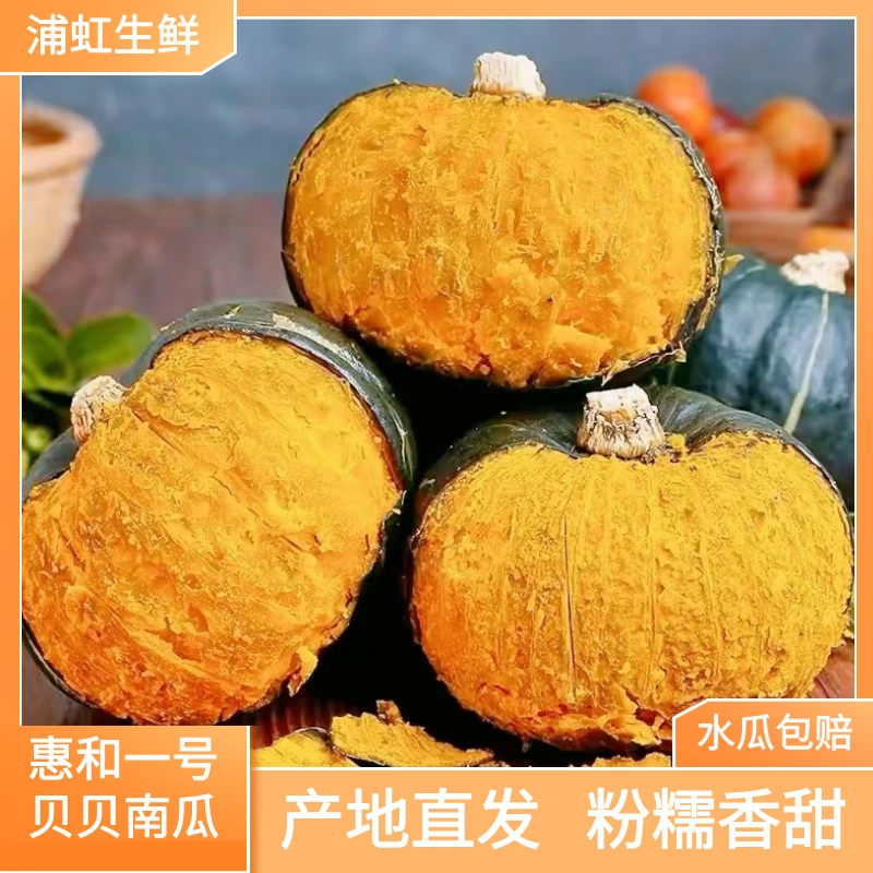 【正宗惠和一号】贝贝南瓜糯香甜板栗味南瓜4.5-5斤4-6个