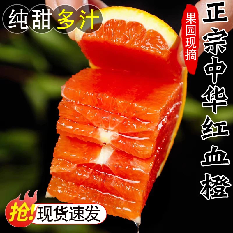 血橙新鲜水果当季整箱3/5/9斤中华红心超甜冰糖孕妇秭归手剥橙子