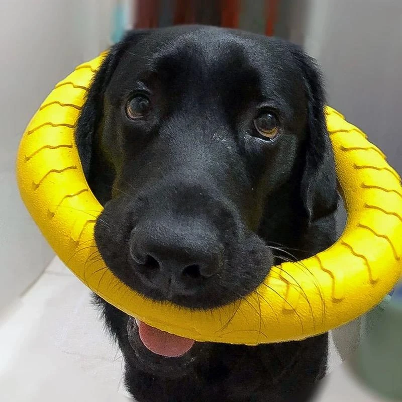 狗狗玩具球磨牙耐咬训练飞盘狗专用边牧小大型犬圆环宠物解闷神器