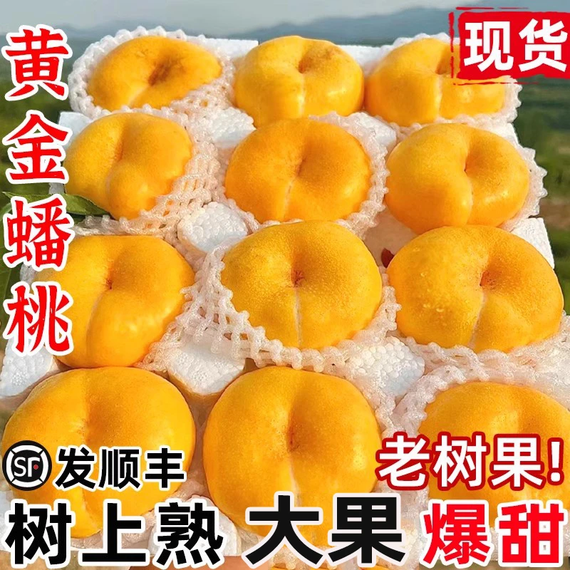 新鲜水果黄金油蟠桃蒙阴当季整箱油蟠桃大果脆桃扁桃蟠桃孕妇桃子