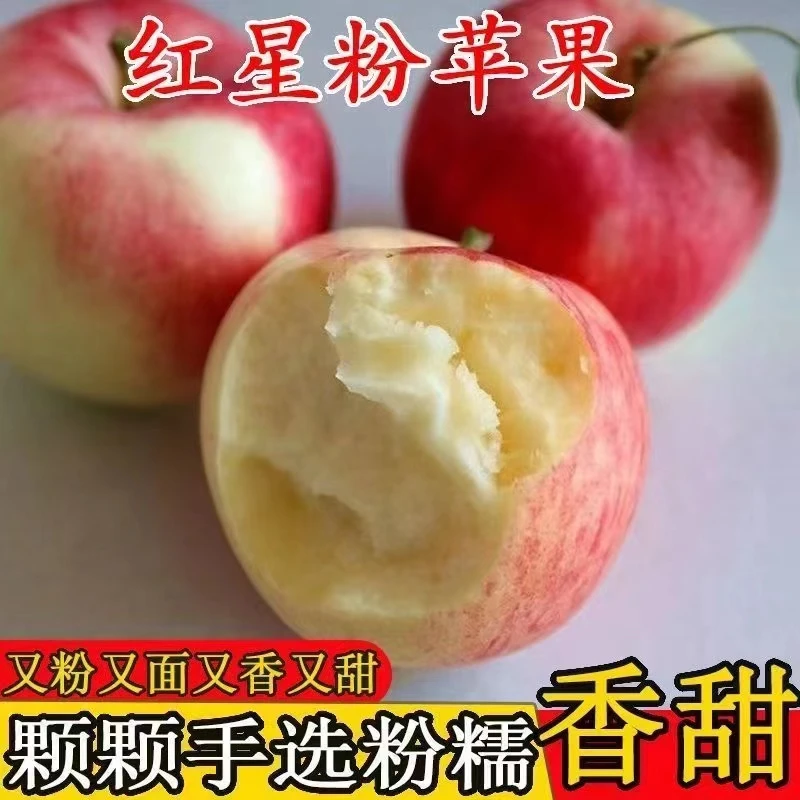 新鲜大苹果嘎嘎嘎甜