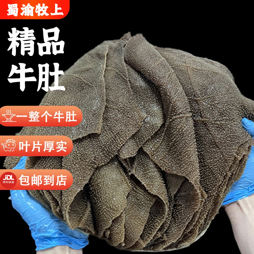 【正宗牛肚10kg】商用批发整个牛肚火锅食材毛肚 固形物含量80%以上