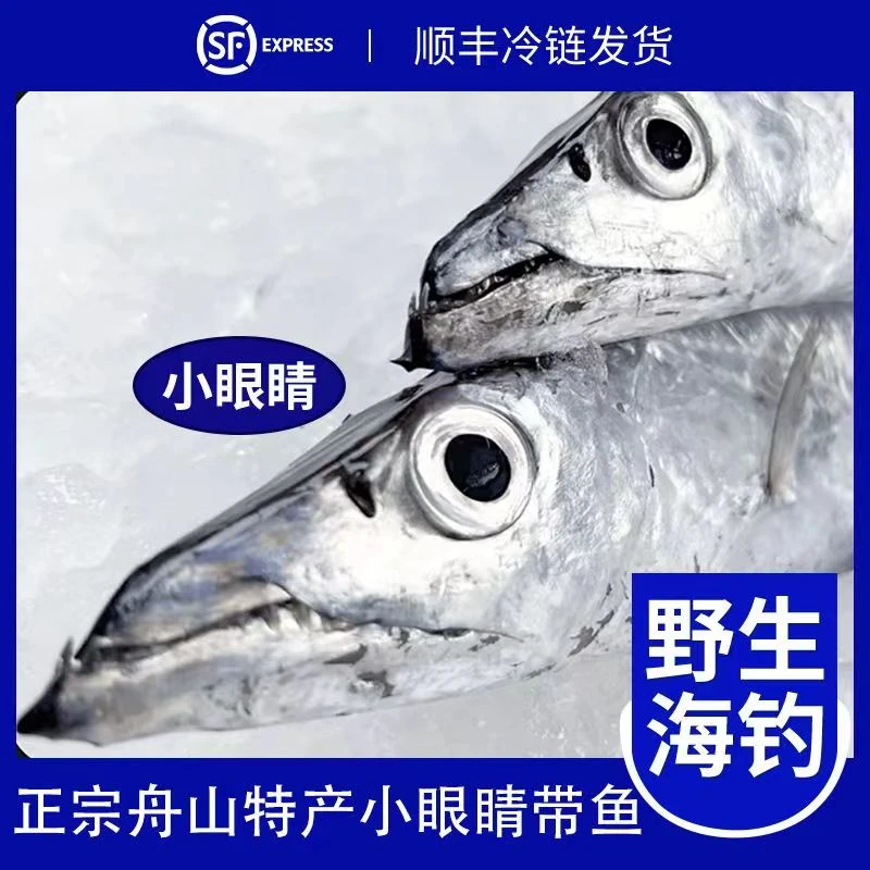 6两左右/条新鲜正宗舟山东海野生小眼睛鹰钩嘴带鱼码头整条直发