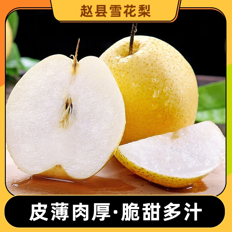 河北赵县雪梨 净重4.5斤-5斤 单果250g-350g  新鲜水果