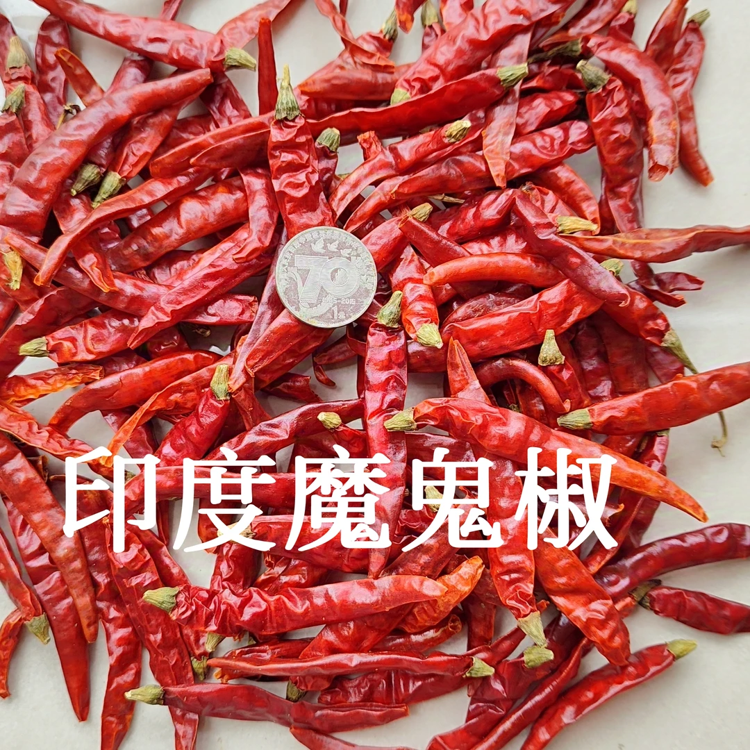 印度魔鬼辣椒超级辣变态辣特辣干辣椒天鹰椒辣椒辣椒段辣椒粉火锅