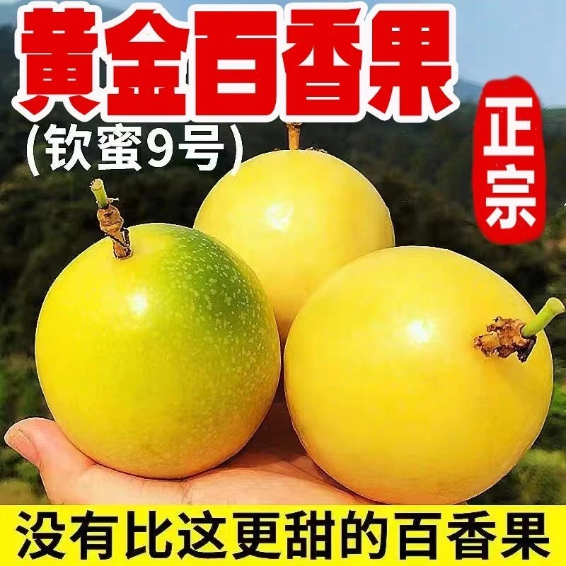 广西钦密9号黄金百香果2斤/3斤/5斤装 带开果器