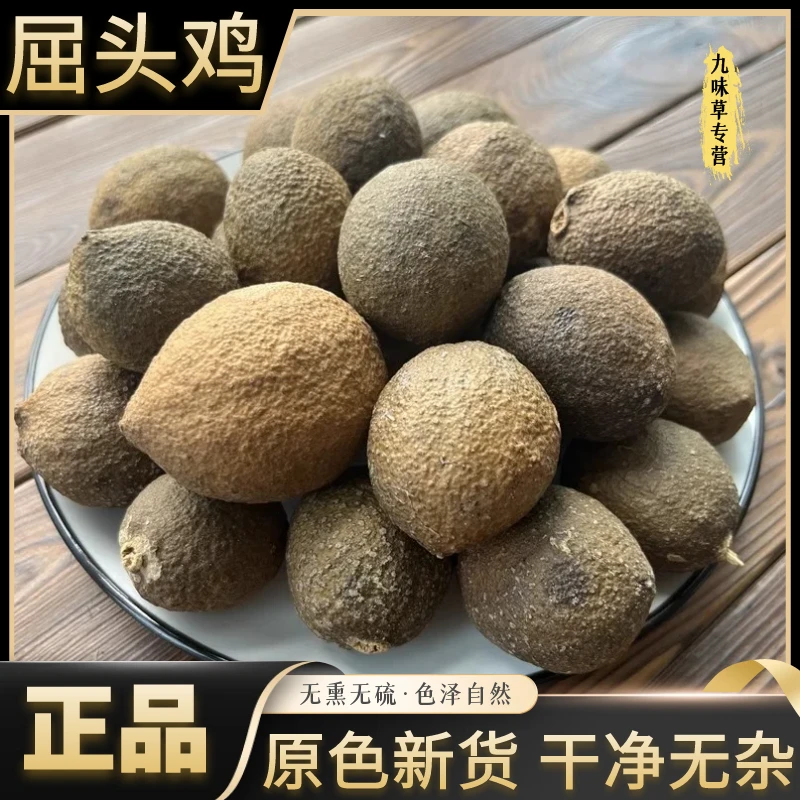 广西屈头鸡正宗老果水鸡头水鸡仔新货干货正品无硫滋补另售川贝