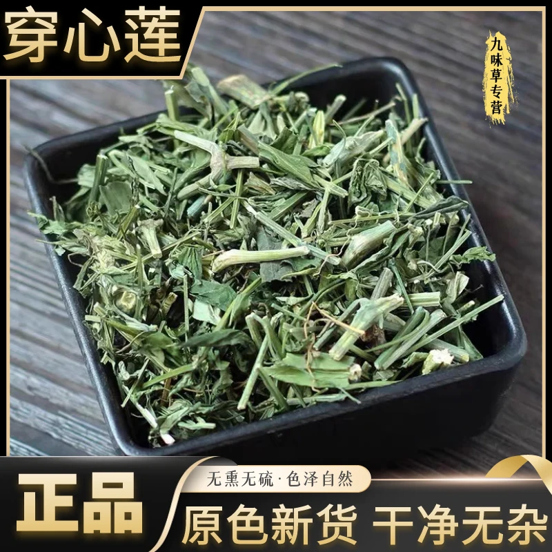 新货正宗广西穿心莲一见喜榄核莲苦胆草切段晾晒干货无硫非益母草