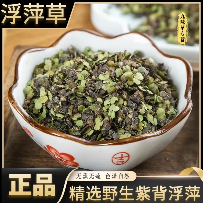 野生小浮萍草 水莲花青萍 紫背浮萍草新货正品干净无杂另售芦荟