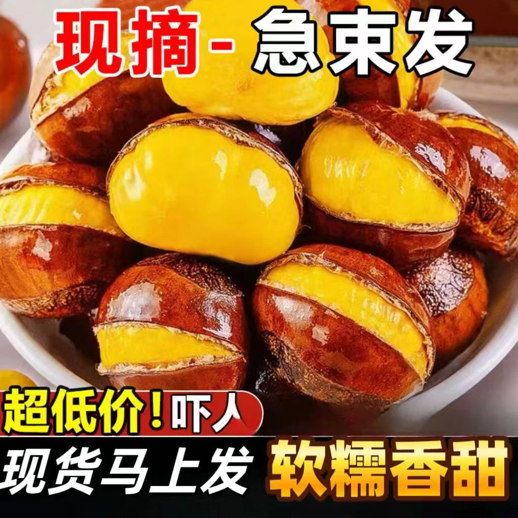 现货【24年新鲜】板栗农家现摘新鲜生板栗正宗生油栗毛栗子板栗新鲜