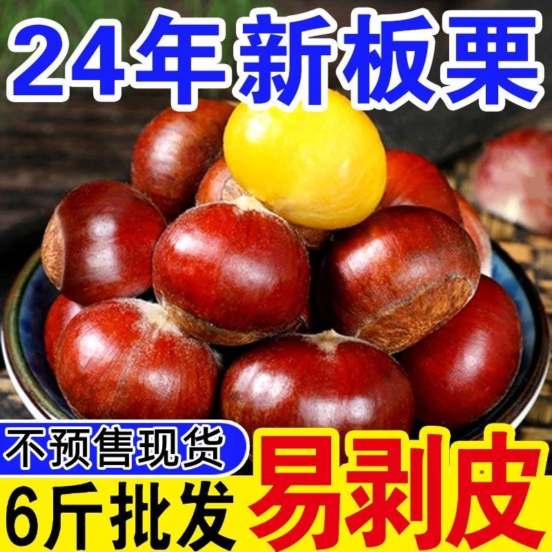 现货【24年新鲜】板栗农家现摘新鲜生板栗正宗生油栗毛栗子板栗新鲜