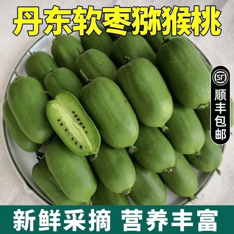 【果园现摘】枣正宗丹东软枣猕猴桃大果特大薄皮果新鲜水果奇异莓