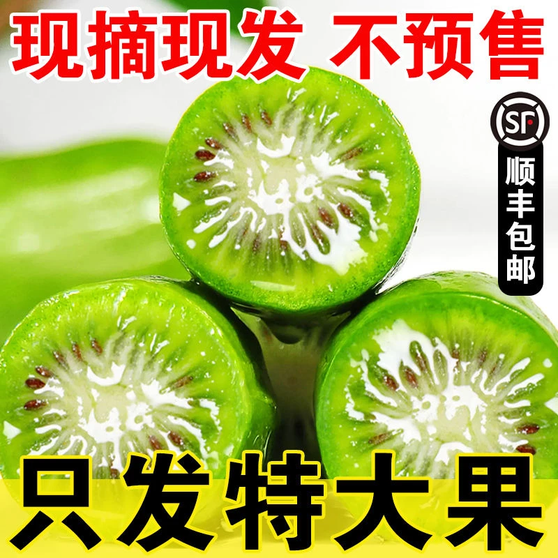 现货【礼盒装】丹东软枣猕猴桃国产奇异莓奇异果新鲜圆枣子1/2/3斤