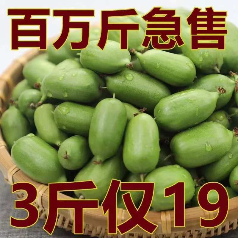 顺丰（现货）丹东软枣猕猴桃东北圆枣子奇异莓大果新鲜水果包邮