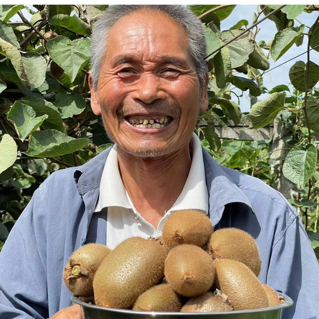 【周宝宝专属】催熟软化陕西周至正宗精选翠香猕猴桃 中通快递2-5斤