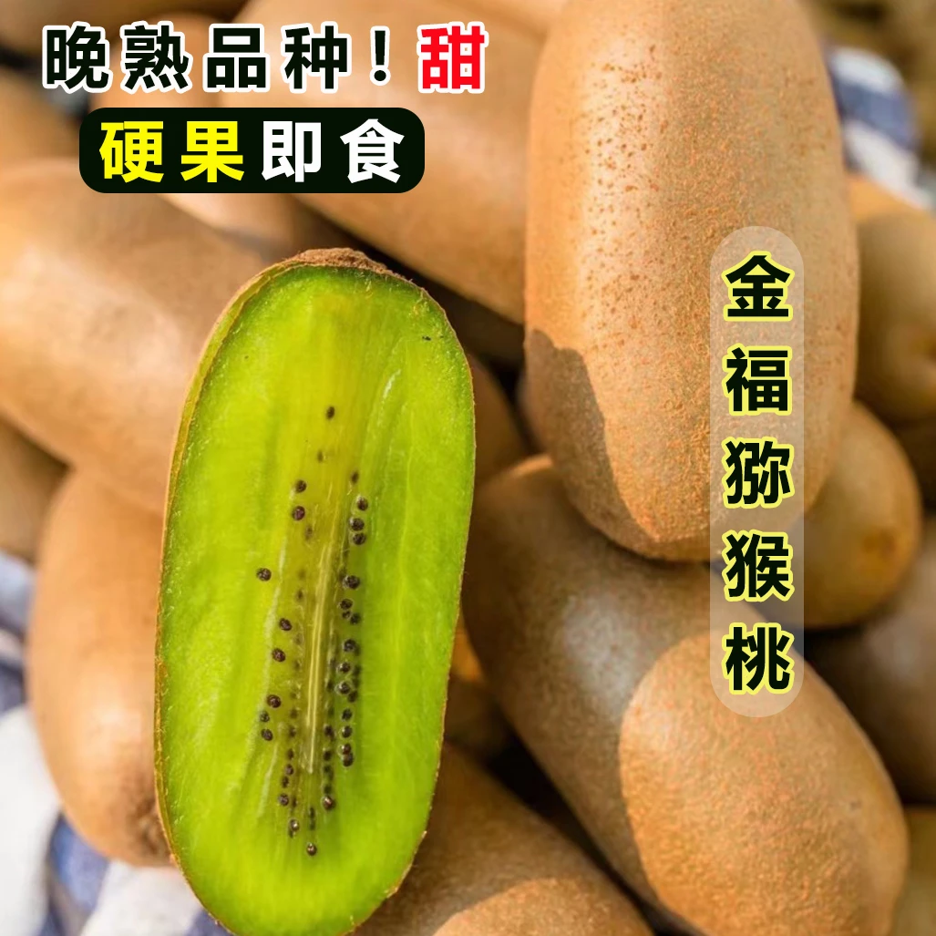 【周宝宝专属】周至金福猕猴桃稀有品种微弹即食4.8-5斤包邮