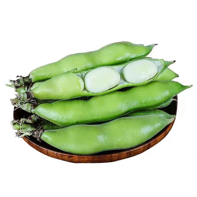 云南高原山货新鲜蚕豆农产品