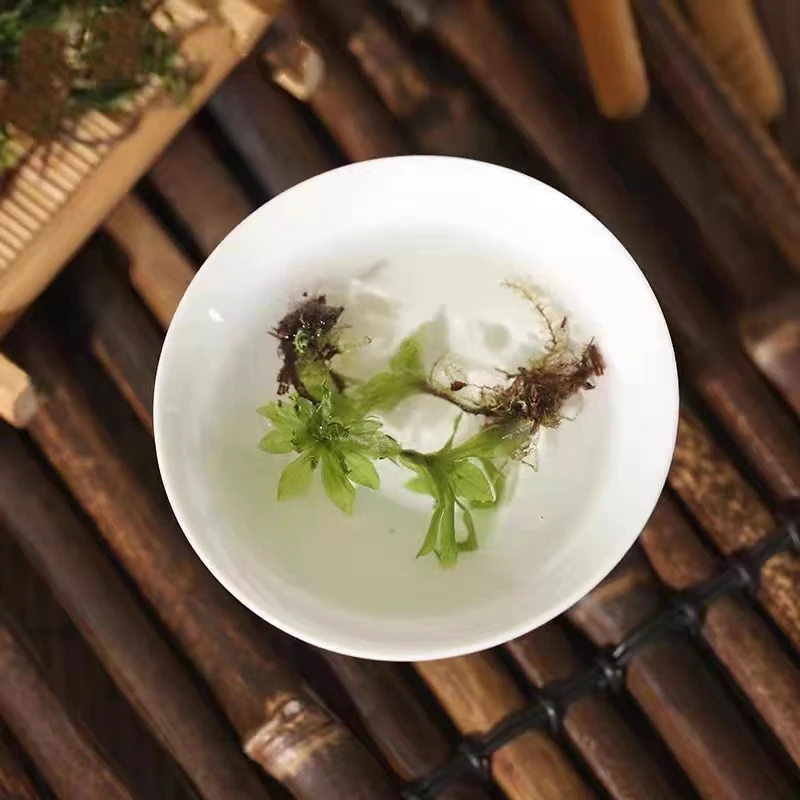云南高原山货回,芯,草农产品