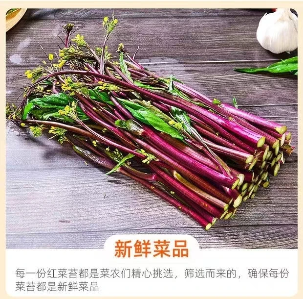 新鲜脆嫩湖北红菜苔健康美味鲜嫩爽口农家自种植露天生长现摘2斤