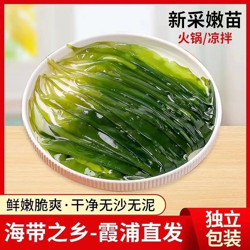盐渍海带嫩苗500g无沙嫩芽新鲜烫火锅凉拌煮汤新鲜霞浦直供批发