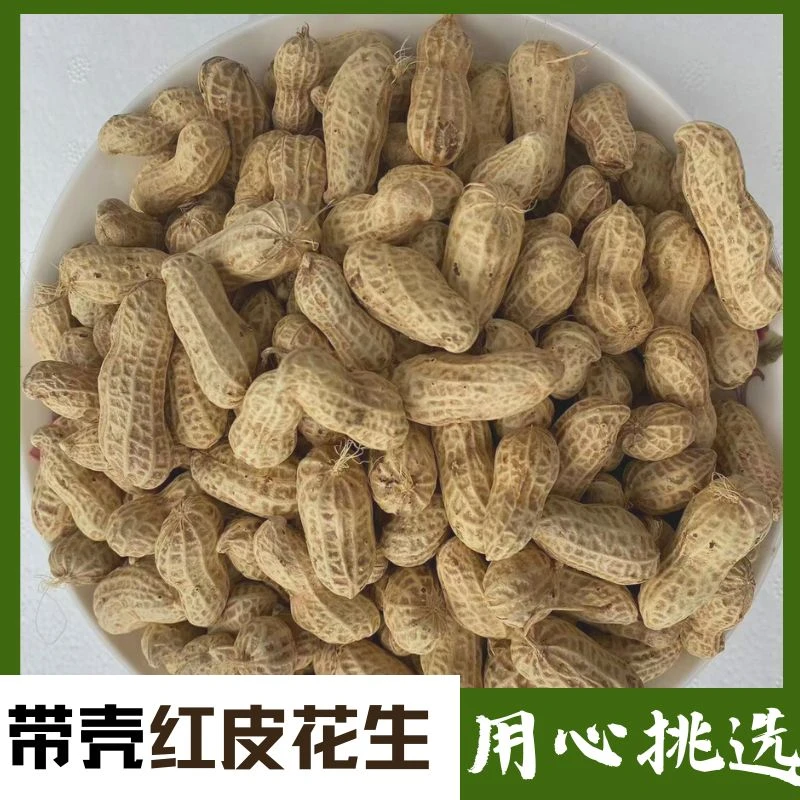 四川广安新鲜花生薄皮带壳2斤起