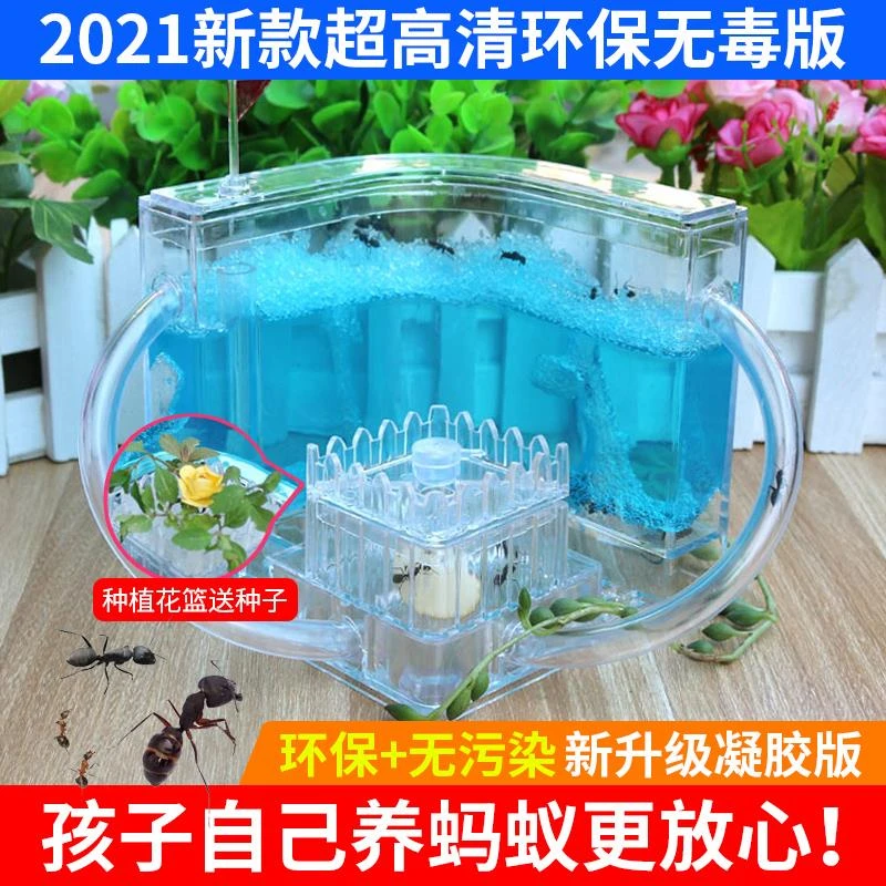 蚂蚁工坊城堡生态箱生态巢屋蚂蚁盒子庄园工厂屋学生专用生物实验