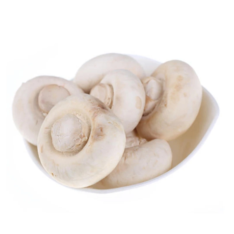双孢菇 200g