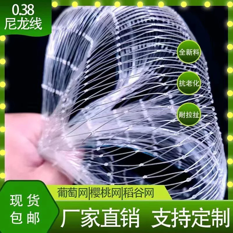 新款防鸟网果树大棚果园樱桃防鸟葡萄鱼塘天网养殖农用抗老化防网