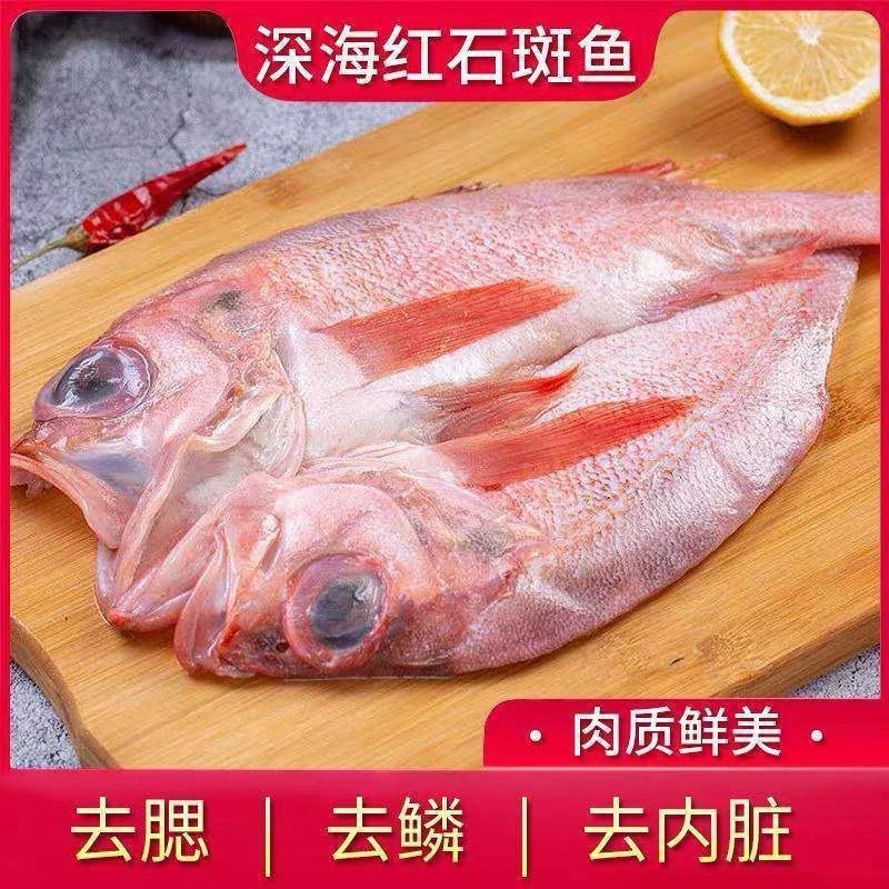 【一霏】开背红石斑鱼600-700g/条 到手4条 新鲜冷冻免处理深海鱼