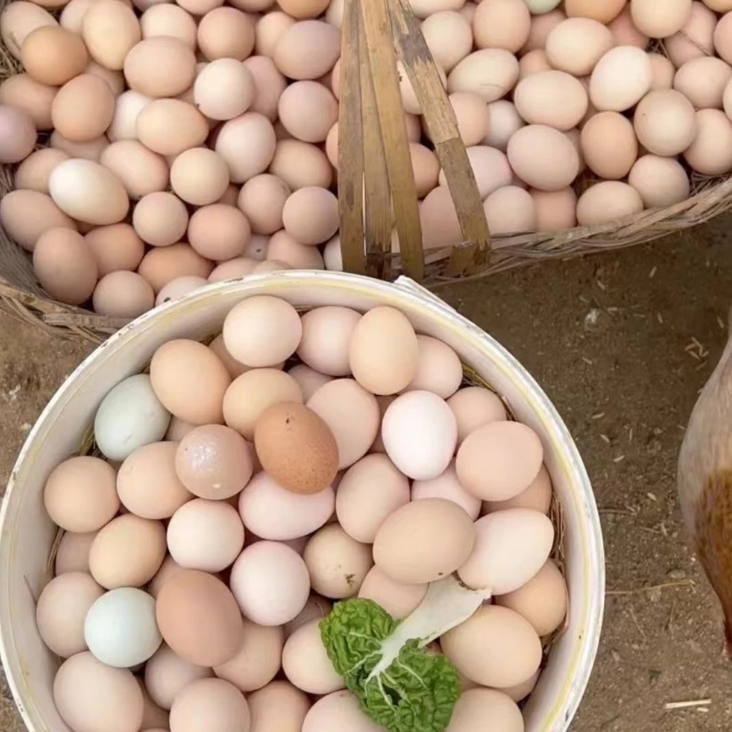 天津蓟县山林散养土鸡蛋30枚/50枚