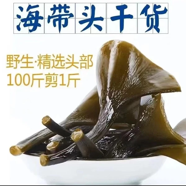 【热卖】厚实海带头干货净重新货干海带根头软糯厚实特级厚片无沙