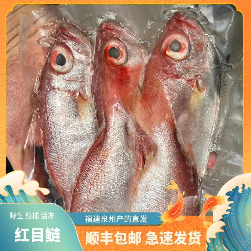 福建船捕【红目鲢】深海捕捞鲜活冰冻渔船直供新鲜到家美味品质